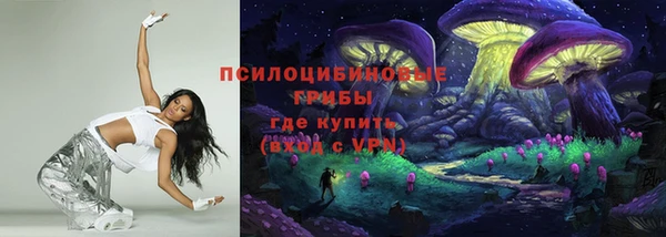 молекула духа Белоозёрский