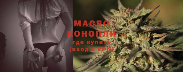 сатива Беломорск
