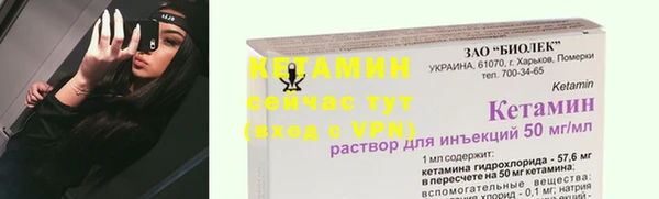 сатива Беломорск