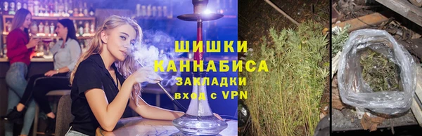 молекула духа Белоозёрский