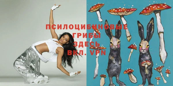 сатива Беломорск