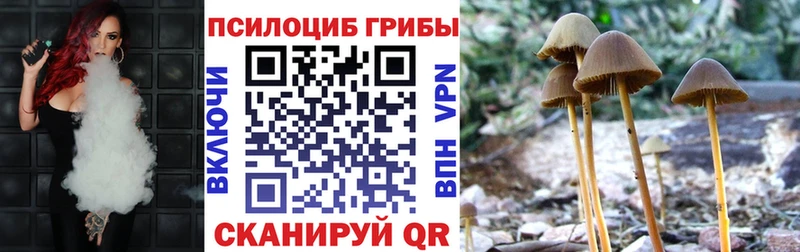 Псилоцибиновые грибы прущие грибы  купить   Саяногорск 